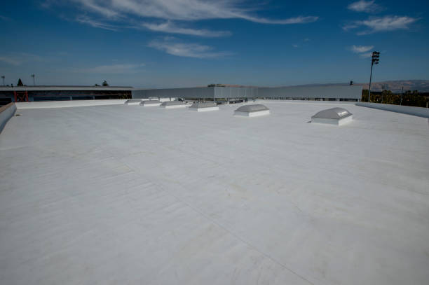 Best Roof Waterproofing  in Dunbar, WV
