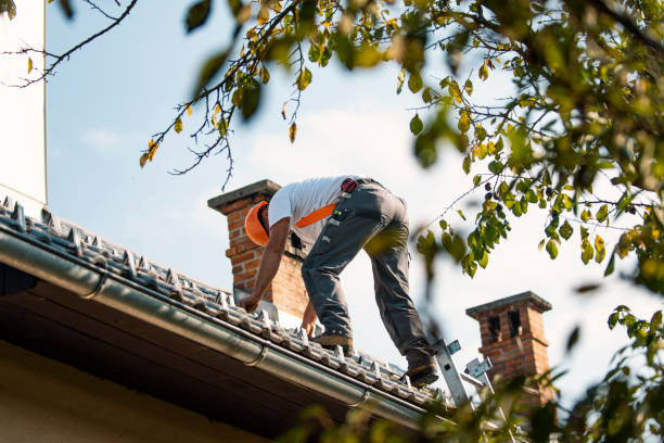 Best Rubber Roofing (EPDM, TPO)  in Dunbar, WV